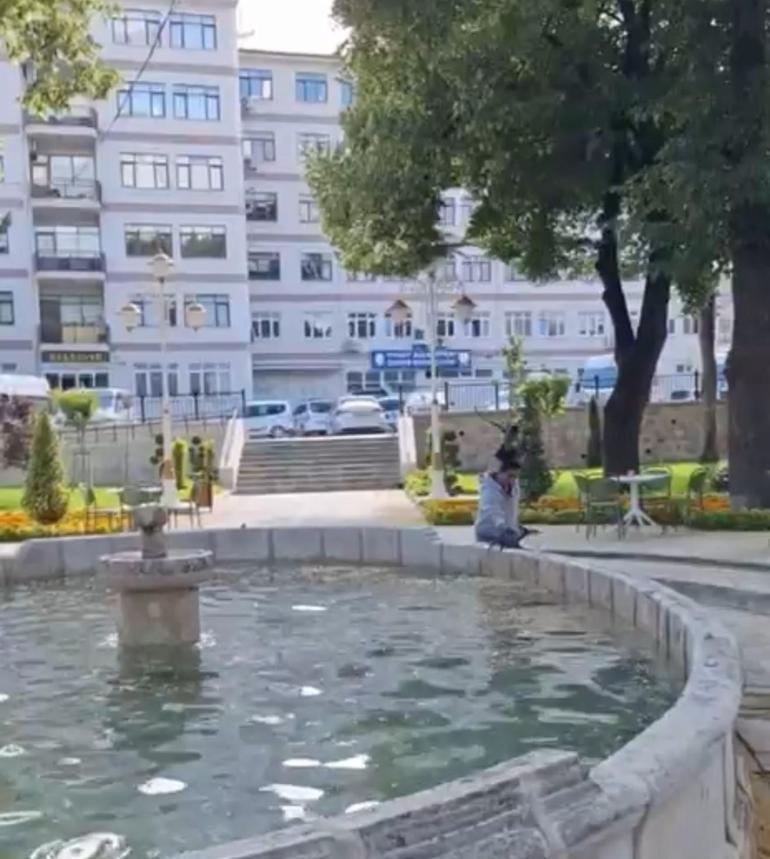 Tokatta şaşlıklık veren olay Yavru kargayı kurtarmak istedi, diğer karganın saldırısıyla hastanelik oldu