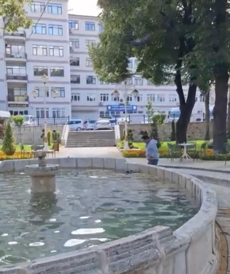 Tokatta şaşlıklık veren olay Yavru kargayı kurtarmak istedi, diğer karganın saldırısıyla hastanelik oldu