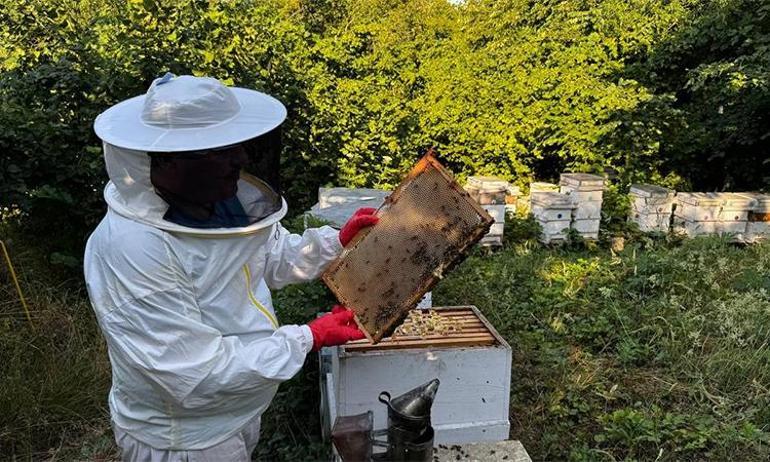 İşe dedesinin nasihatiyle başladı, üretim miktarını bir tona çıkardı Kilosunu 2.500 TLden satıyor