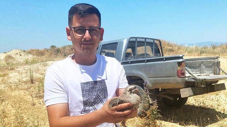 Bursada kene savaşçıları devrede Mustafakemalpaşada doğaya 100 keklik bırakıldı