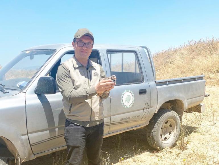 Bursada kene savaşçıları devrede Mustafakemalpaşada doğaya 100 keklik bırakıldı