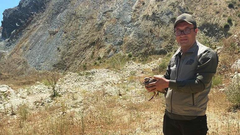 Bursada kene savaşçıları devrede Mustafakemalpaşada doğaya 100 keklik bırakıldı