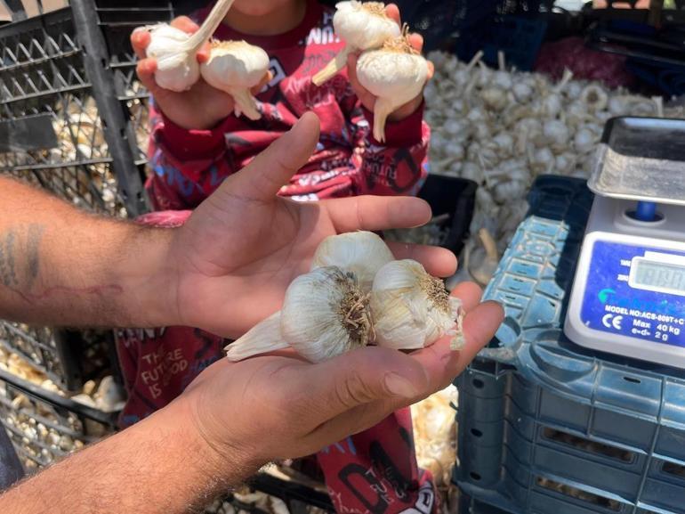 Kahramanmaraştan yola çıktılar Ekmek parası için minibüste yaşıyorlar