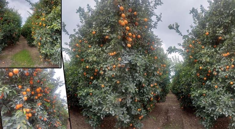 Adanada gizli yer altı şehir bulundu Haritası çıkarıldı ama ucunun nereye kadar gittiği bilinmiyor