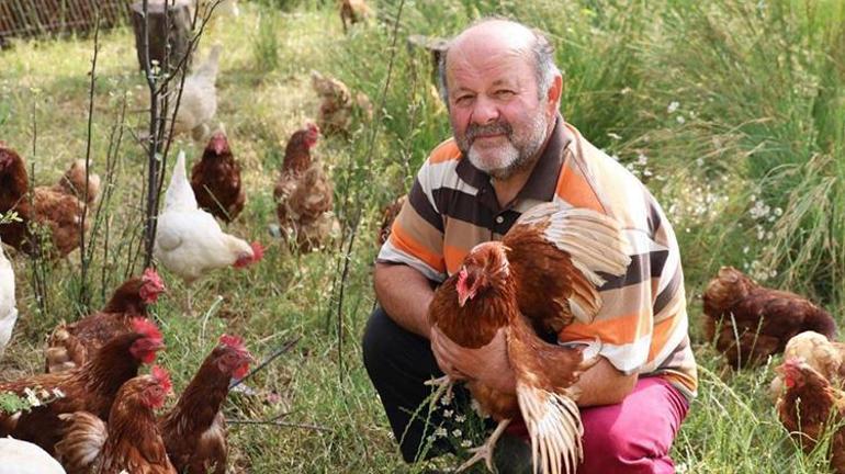 Gezen tavukla başladı kırmızı elmasla kazandı Samsunlu vatandaşın bahçesi artık daha verimli