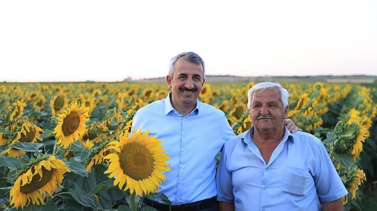 Edirnede hayata geçirildi, Çiftçiler bu yöntem sayesinde yılda iki kez ürün alıyor Susuz tarımın önünü açacak