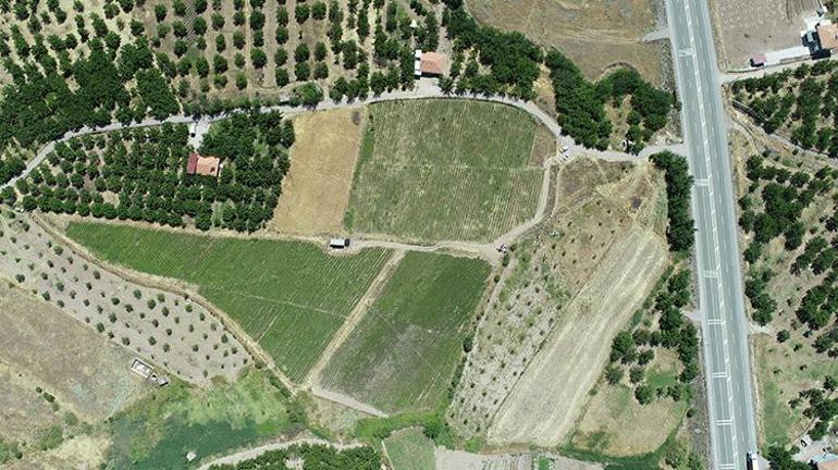 100 yıl önceki gazete kupüründe gördükten sonra harekete geçti Üretimi 25 dekara çıkardı, şimdi taleplere yetişemiyor
