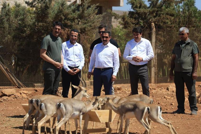 Sınırın sıfır noktasına kuruldu Tüm şehir seferber oldu, sayıları tam 18 kat arttı