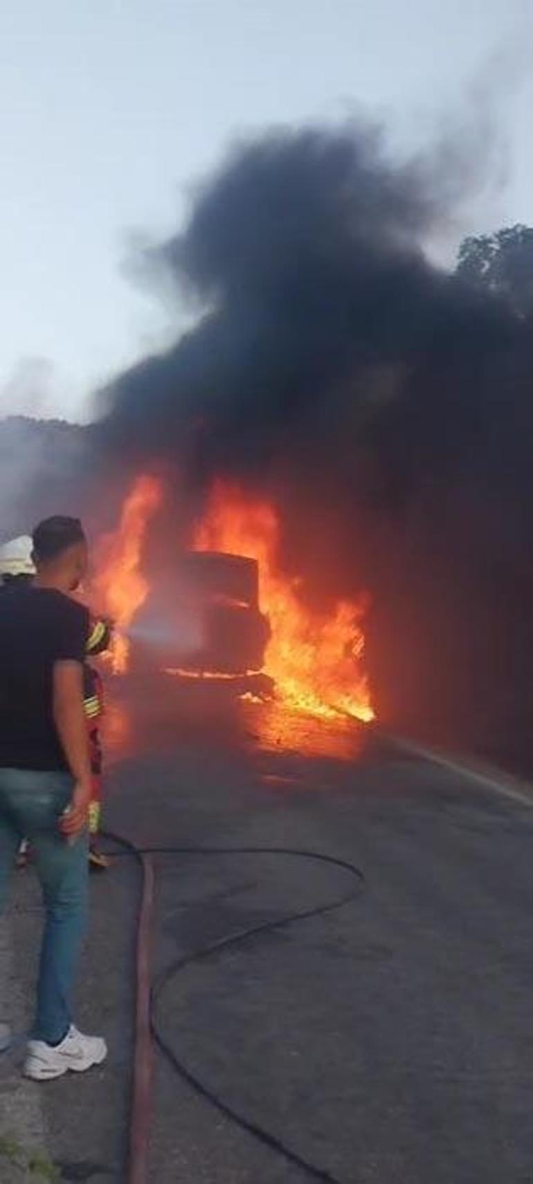 7 şehirde orman yangınıyla mücadele Sakaryadaki yangın Bilecike sıçradı, İzmirde 455 ev tahliye edildi