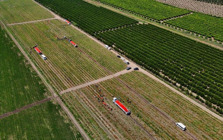 Adana, Türkiyenin üretim merkezi Hasat sonrası fiyatlar değişti, üreticiler bunu beklemiyordu