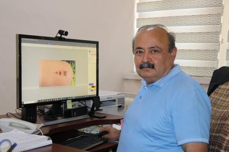 Havaların ısınmasıyla resmen patladı 1 tanesi 10 bin tane üretiyor, tek çözümü var