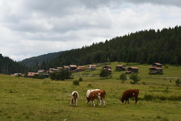 Kastamonudan tarihi adım: Harekete geçildi, yeni çekim merkezi olacak