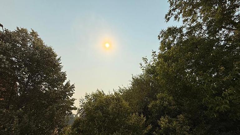 Bilecikte süren yangının dumanı Eskişehire ulaştı, küller şehri kapladı