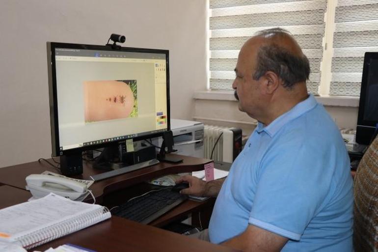 Kenelerin bilinmeyen yeteneği ortaya çıktı Uzmanlar inanamadı, 1 tanesi tam 10 bin yumurta yapıyor
