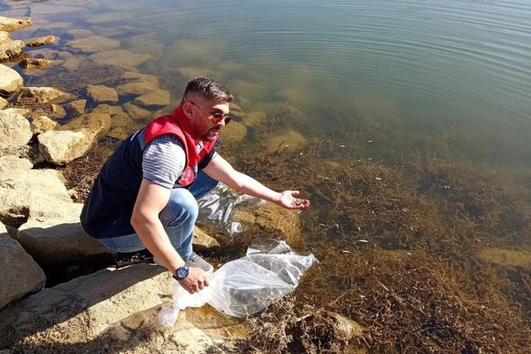 Konyada bu meslekle uğraşanlar yaşadı: 182 bin tane bırakıldı