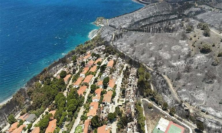 İzmirdeki orman yangını ikinci gününde Müdahale sürüyor