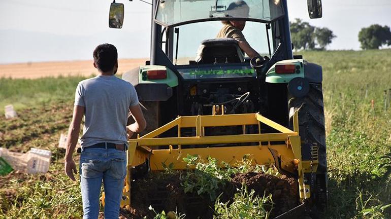 Türkiyenin patates deposu Niğdede hasat başladı: Çiftçinin yüzü gülüyor