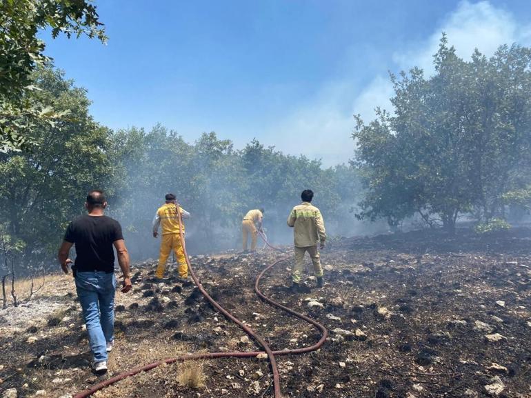 Eskişehir alevlere teslim Seyitgazide orman yangını: Ekipler seferber oldu