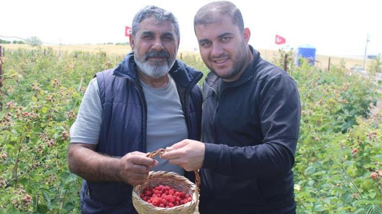 Kayseride hobi olarak başladı Boş arsaya yeni yöntemle dikti, siparişlere yetişemiyor
