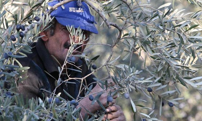 Zam kapıda: En az yüzde 40 kayıp var Yetkililer uyardı: Bu fiyatları yok yılı gelmeden kaçırmayın