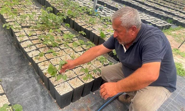 Türkiyede yapılmayanı Bursada deniyorlar: Bir ilke imza attılar Riskli bir iş yapıyoruz