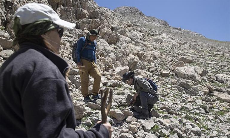 Tuncelinin zirvelerinde keşif zamanı: Bilim insanları yeni türlerin peşinde
