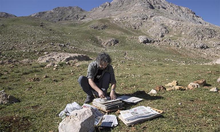 Tuncelinin zirvelerinde keşif zamanı: Bilim insanları yeni türlerin peşinde