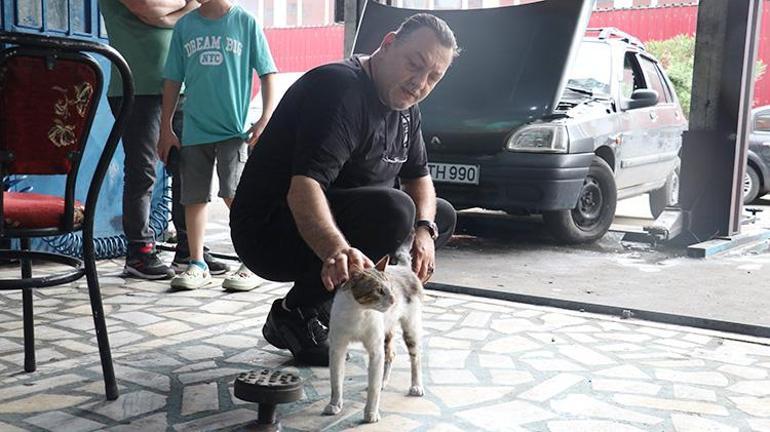 Trabzon sanayisinde duygulandıran dostluk: Yusuf Ustanın mesai arkadaşı Psikopat esnafın maskotu haline geldi
