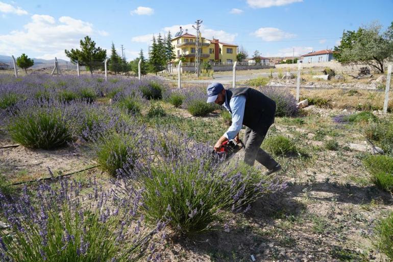 Muhtarın aldığı karar köyün kaderini değiştirdi 50 dönüm araziyi dönüştürdü, köy ekonomisi ve turizm şaha kalktı