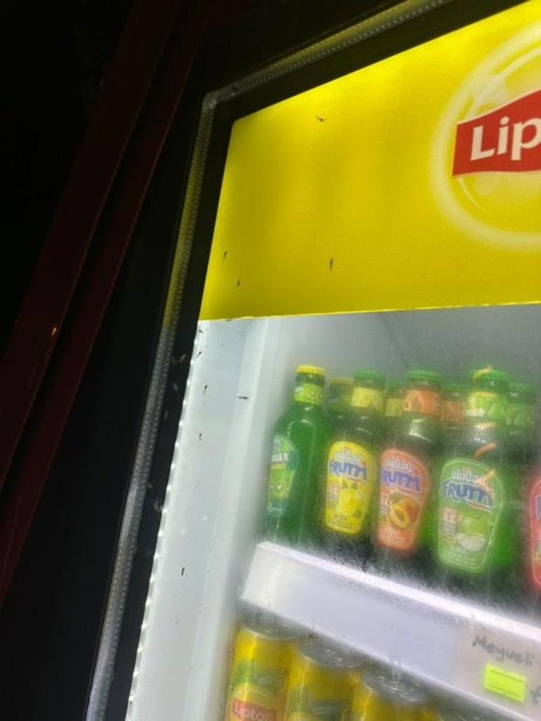 Eskişehirde bir mahalleyi sardı: Yapışıp kalıyor, geceleri zeminde toplanıyor