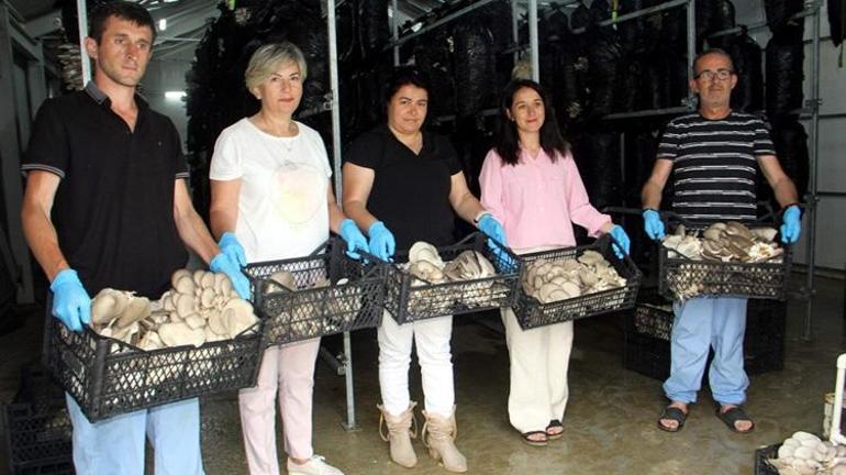 Sinoplu kadınlardan girişimcilik dersi İlk hasatta 7 ton ürün elde edince, piyasa fiyatlarını yarıya çektiler