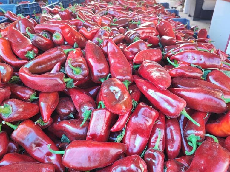 Adanada salça sezonu başladı, ev yapımı lezzeti arayan pazara akın etti