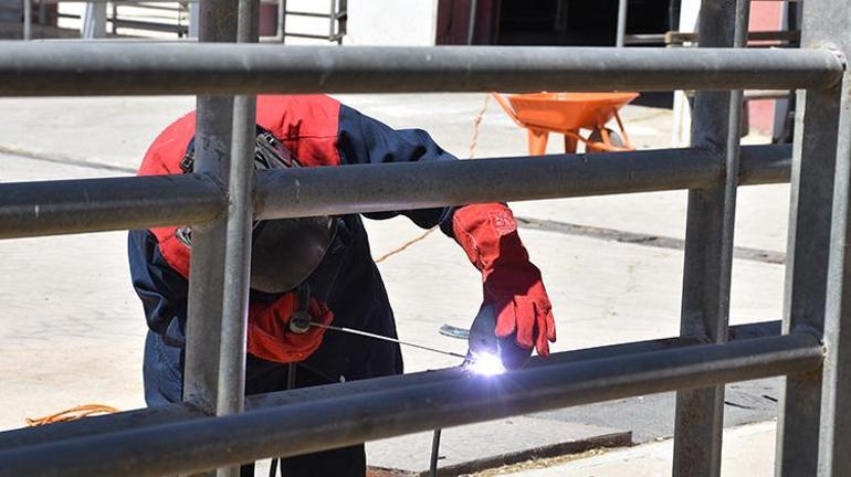 Afyonkarahisarda 2 çocuk annesi kadın babasının yolundan gitti geçim kaynağını buldu
