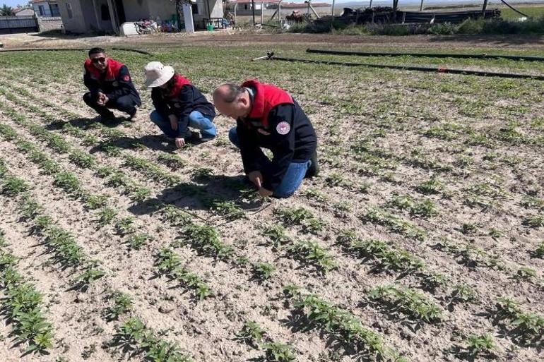 80 yıl sonra başladı: Konyada 4 ayda 5 metre uzayacak Milim milim ölçülüyor