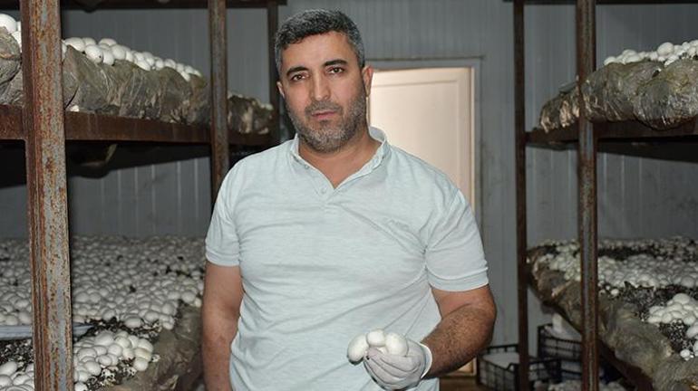 Batmanlı girişimci köyünde kurduğu tesisle işsizliği bitirdi İstanbulda işçiydi memleketinde patron oldu