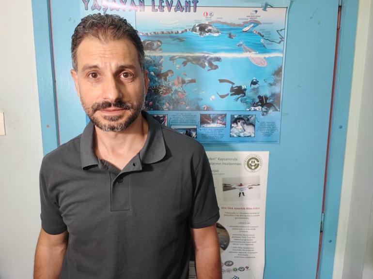 Denizler alarm veriyor: Akdenizde balık türleri tehlike altında Berlam gitti, zehirli balon balığı geldi