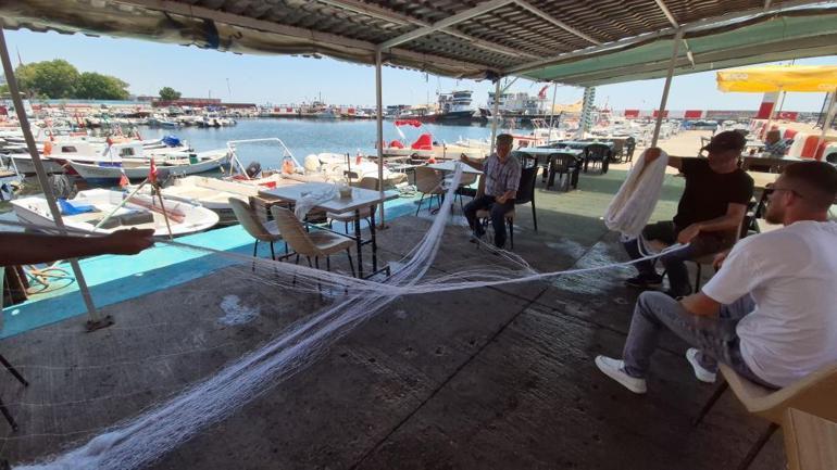 Marmarada yeni kabus: müsilaj bitti, yunuslar balıkçıları vurdu