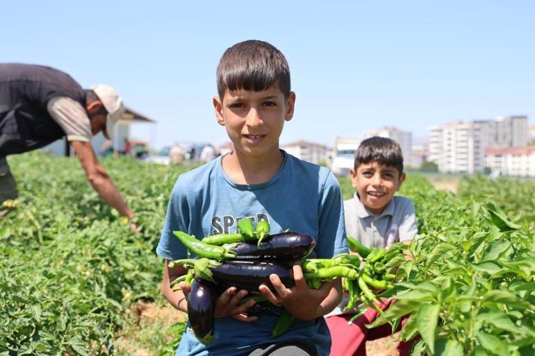 Vatandaş sebzeyi pahalı almasın dedi Market ve hal fiyatlarının yüzde 50 altına satacak