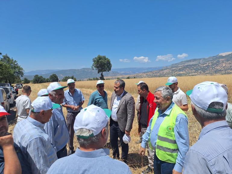 Vezirköprü’de proje hayata geçti ilk hasat başladı