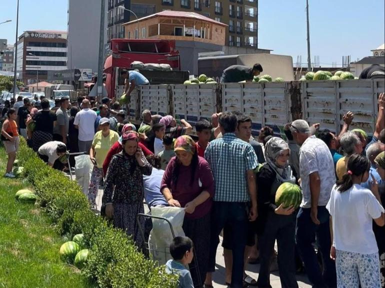 Tarlada fiyatlar 1 liraya kadar düştü Zarar eden çiftçinin duası kabul oldu