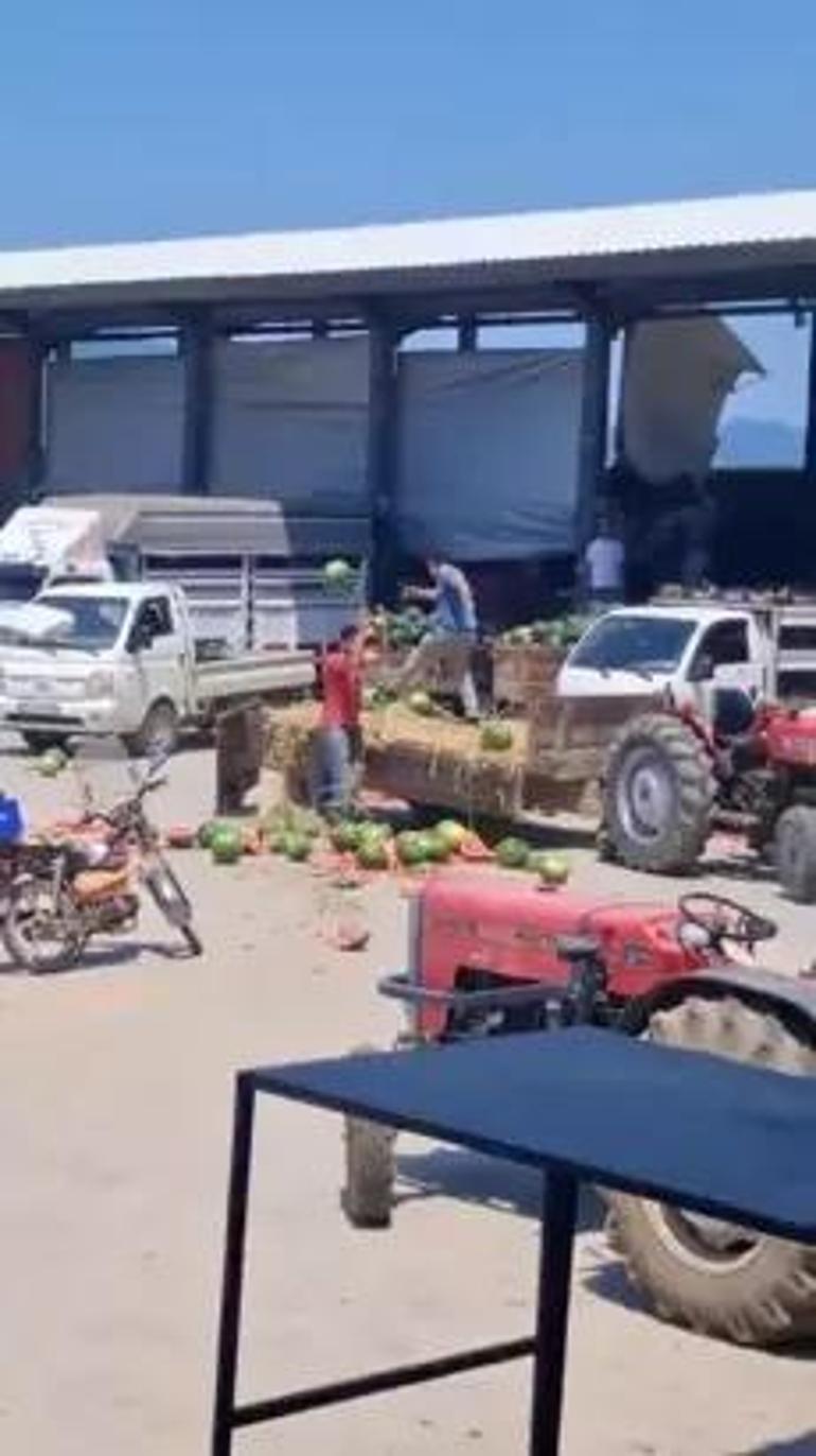 Sakaryada karpuzları parçaladılar, milyonlarca lira ceza geliyor