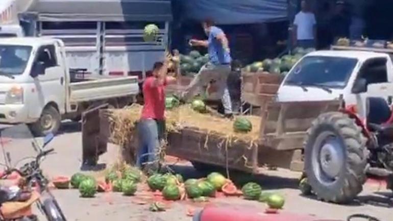 Sakaryada karpuzları parçaladılar, milyonlarca lira ceza geliyor