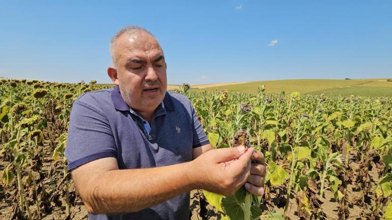 Türkiyenin ihtiyacının yüzde 45i buradan karşılanıyor Verim düşük, fiyatlara etki edebilir