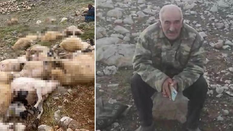 Tuncelide 2 yıl emek verdi, saniyeler içinde 200 tanesi birden öldü