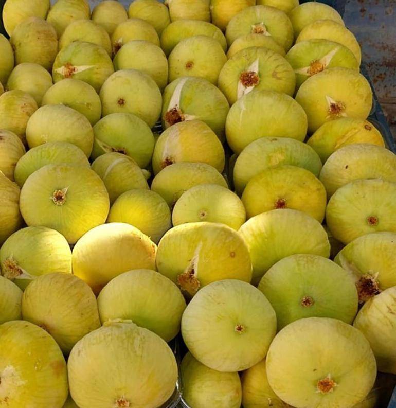 Damak çatlatan lezzette ilk hasat başladı Fiyatlar 200 liradan 80 liraya kadar düştü