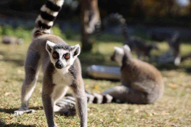 Bursada gezilecek en güzel 20 yer
