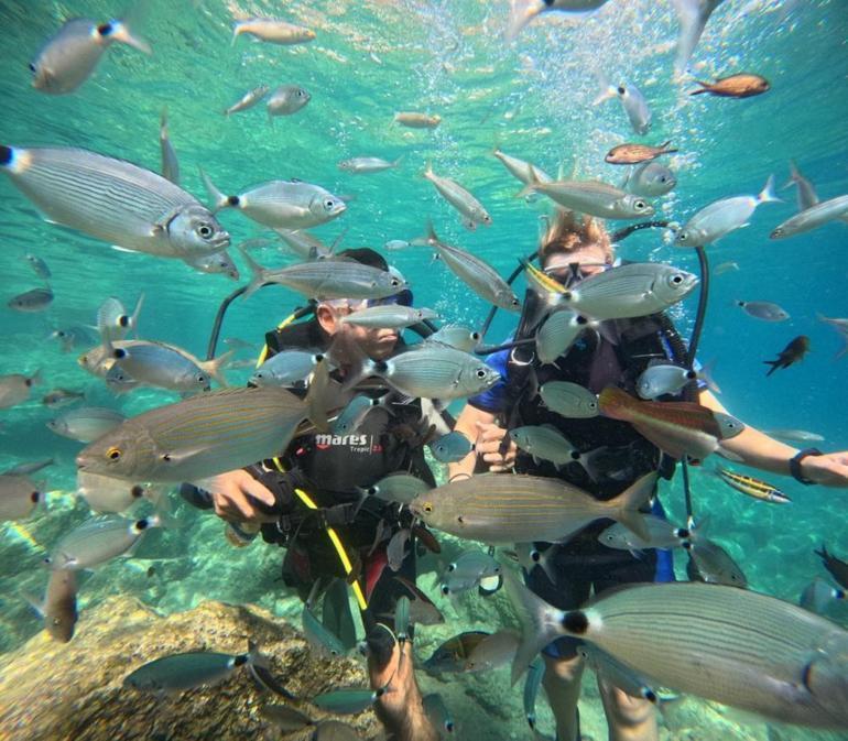 Tatile gidenlerin uğrak yeri oldu Dalış turizmine ilgi artıyor
