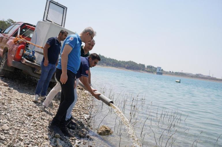 Adanadan 12 ile can suyu: 10.5 milyon sazan yavrusu göletlere bırakıldı