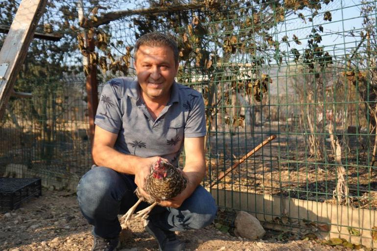 Yangını görünce kaçan tavuk günler sonra bakın nereden çıktı