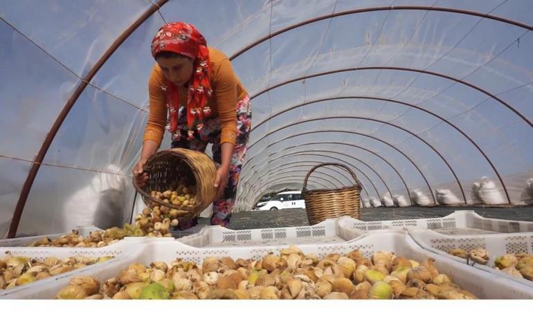 33 gün çalışıp 90 bin TL kazanacaklar İşçi maaşlarına rekor zam, konaklama ve yemek bedava